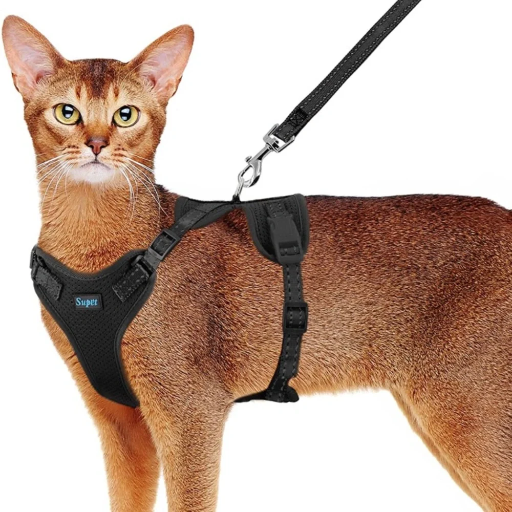 NWOT Black Size Small Cat or Puppy Harness & Leash Set